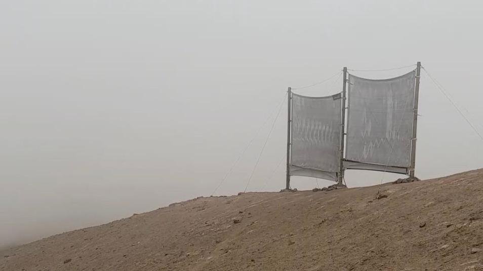 Туманоуловители усиливают модель DREVO после того, как поверхность уже умеет удерживать влагу.