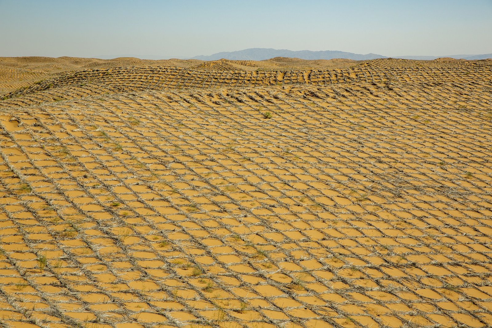 Sand stabilization grid